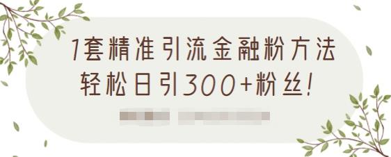 1套精准引流金融粉方法，轻松日引300+粉丝【视频课程】网创吧-网创项目资源站-副业项目-创业项目-搞钱项目恒杨云站
