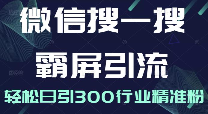 微信搜一搜霸屏引流课，打造被动精准引流系统，轻松日引300行业精准粉【无水印】网创吧-网创项目资源站-副业项目-创业项目-搞钱项目恒杨云站