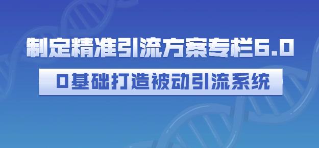 制定精准引流方案专栏6.0，0基础打造被动引流系统网创吧-网创项目资源站-副业项目-创业项目-搞钱项目恒杨云站