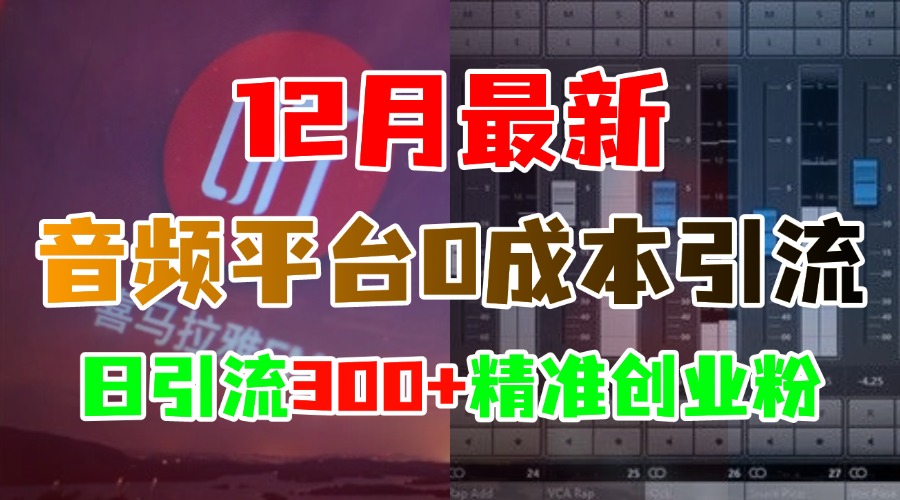12月最新：音频平台0成本引流，日引300+精准创业粉网创吧-网创项目资源站-副业项目-创业项目-搞钱项目恒杨云站