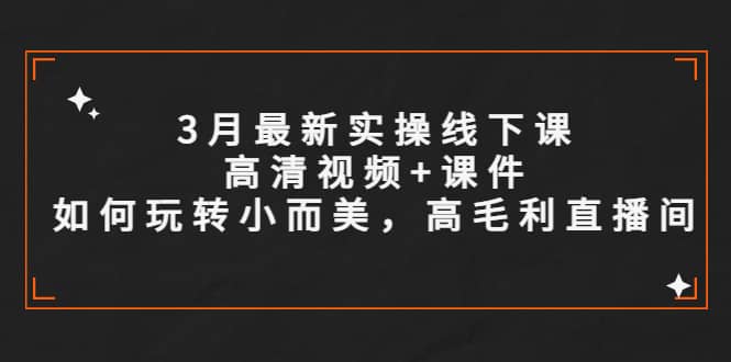 3月最新实操线下课高清视频+课件，如何玩转小而美，高毛利直播间网创吧-网创项目资源站-副业项目-创业项目-搞钱项目恒杨云站