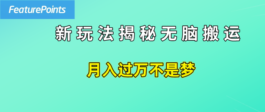 简单操作，每天50美元收入，搬运就是赚钱的秘诀！网创吧-网创项目资源站-副业项目-创业项目-搞钱项目恒杨云站