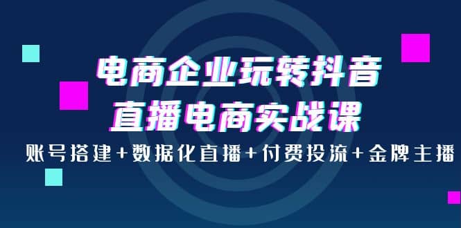 电商企业玩转抖音直播电商实战课：账号搭建+数据化直播+付费投流+金牌主播网创吧-网创项目资源站-副业项目-创业项目-搞钱项目恒杨云站