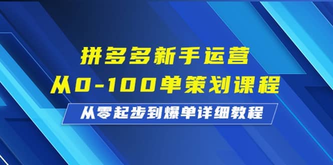 拼多多新手运营从0-100单策划课程，从零起步到爆单详细教程网创吧-网创项目资源站-副业项目-创业项目-搞钱项目恒杨云站