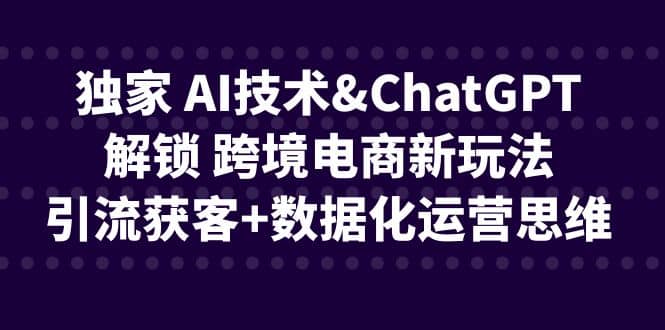 独家 AI技术ChatGPT解锁 跨境电商新玩法，引流获客+数据化运营思维网创吧-网创项目资源站-副业项目-创业项目-搞钱项目恒杨云站