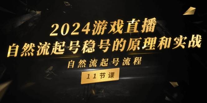 2024游戏直播-自然流起号稳号的原理和实战，自然流起号流程（11节）网创吧-网创项目资源站-副业项目-创业项目-搞钱项目恒杨云站