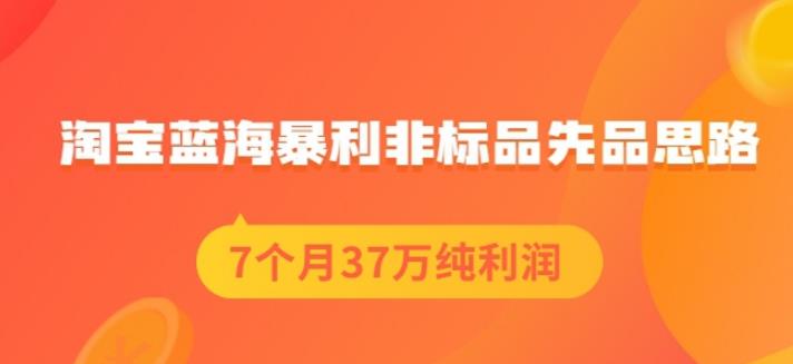 盗坤淘宝蓝海暴利非标品先品思路，7个月37万纯利润，压箱干货分享！【付费文章】网创吧-网创项目资源站-副业项目-创业项目-搞钱项目恒杨云站