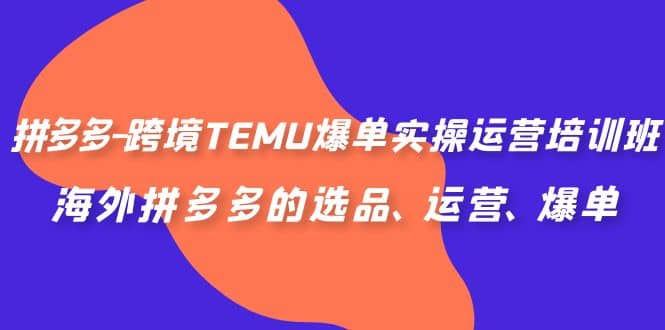 拼多多-跨境TEMU爆单实操运营培训班，海外拼多多的选品、运营、爆单网创吧-网创项目资源站-副业项目-创业项目-搞钱项目恒杨云站