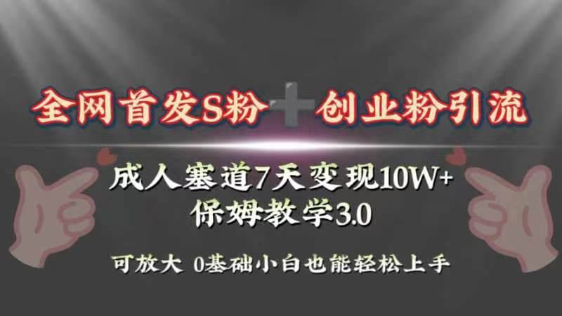 全网首发s粉加创业粉引流变现，成人用品赛道7天变现10w+保姆教学3.0网创吧-网创项目资源站-副业项目-创业项目-搞钱项目恒杨云站