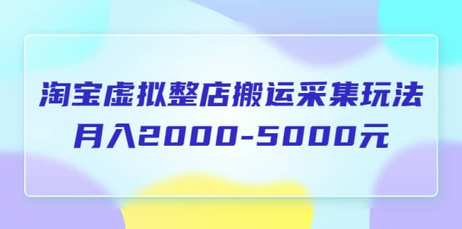 淘宝虚拟整店搬运采集玩法分享课：月入2000-5000元（5节课）网创吧-网创项目资源站-副业项目-创业项目-搞钱项目恒杨云站