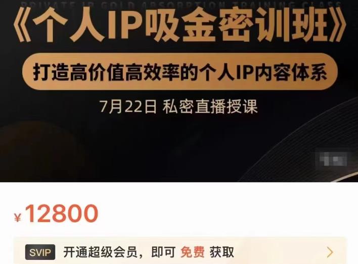 个人IP吸金密训班，打造高价值高效率的个人IP内容体系（价值12800元）网创吧-网创项目资源站-副业项目-创业项目-搞钱项目恒杨云站