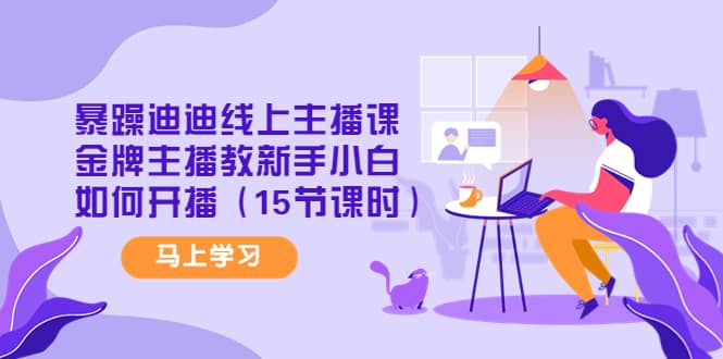 暴躁迪迪线上主播课，金牌主播教新手小白如何开播（15节课时）网创吧-网创项目资源站-副业项目-创业项目-搞钱项目恒杨云站
