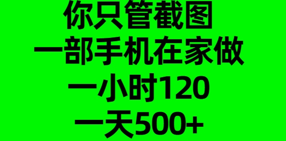 你只管截图，一部手机在家做，一小时120，一天500+网创吧-网创项目资源站-副业项目-创业项目-搞钱项目恒杨云站