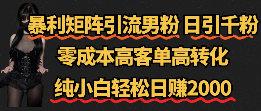 暴利矩阵引流男粉（日引千粉），零成本高客单高转化，纯小白轻松日赚2000+网创吧-网创项目资源站-副业项目-创业项目-搞钱项目恒杨云站