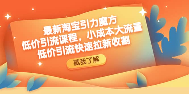 最新淘宝引力魔方低价引流实操：小成本大流量网创吧-网创项目资源站-副业项目-创业项目-搞钱项目恒杨云站