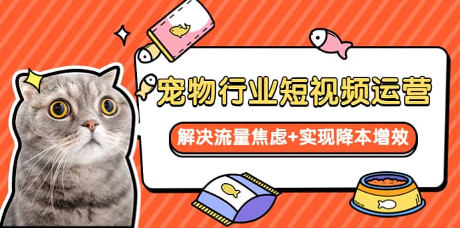 宠物/行业短视频运营 流量增长的一层窗户纸 解决流量焦虑+实现降本增效网创吧-网创项目资源站-副业项目-创业项目-搞钱项目恒杨云站