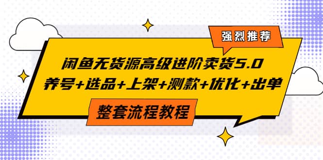 闲鱼无货源高级进阶卖货5.0，养号+选品+上架+测款+优化+出单整套流程教程网创吧-网创项目资源站-副业项目-创业项目-搞钱项目恒杨云站