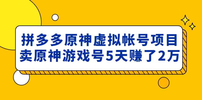 外面卖2980的拼多多原神虚拟帐号项目网创吧-网创项目资源站-副业项目-创业项目-搞钱项目恒杨云站