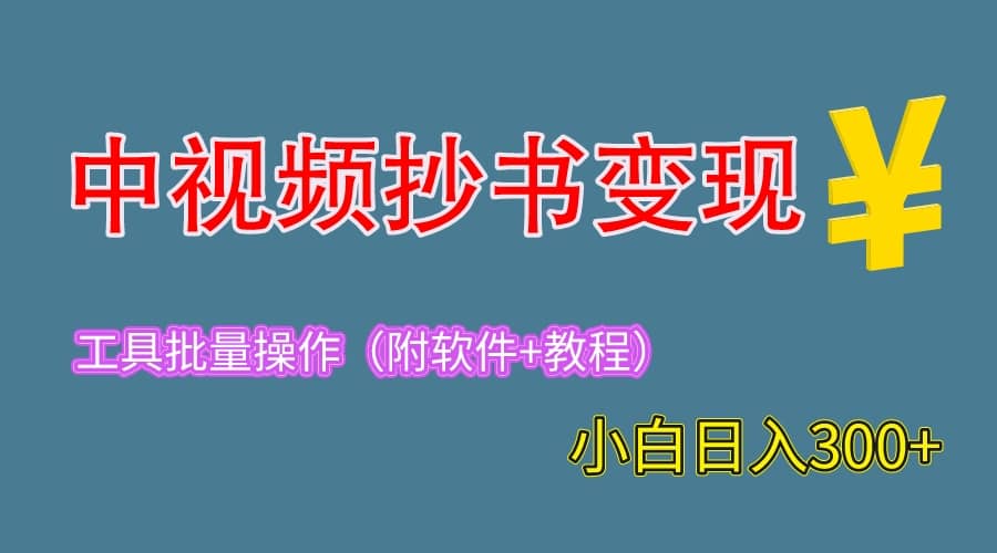 2023中视频抄书变现（附工具+教程），一天300+，特别适合新手操作的副业网创吧-网创项目资源站-副业项目-创业项目-搞钱项目恒杨云站