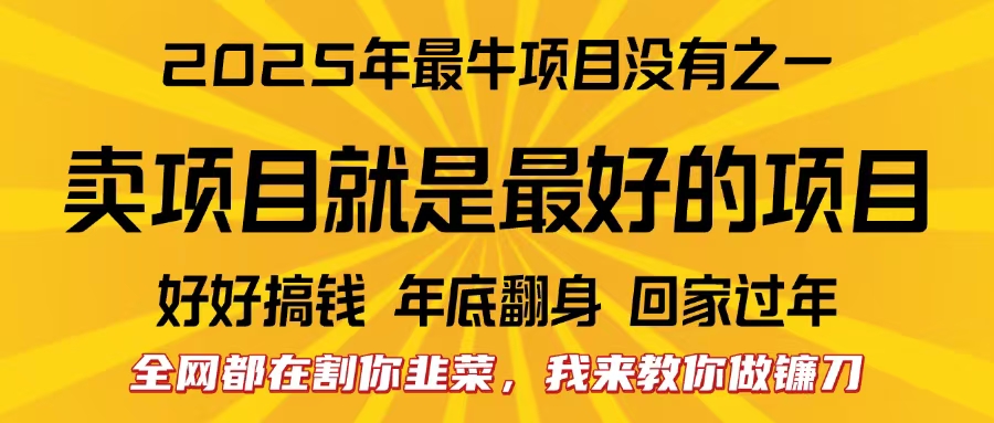 全网都在割你韭菜，我来教你做镰刀。卖项目就是最好的项目，2025年最牛互联网项目网创吧-网创项目资源站-副业项目-创业项目-搞钱项目恒杨云站