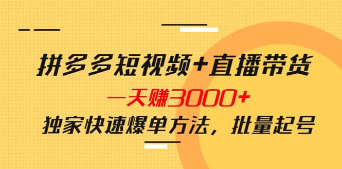 拼多多短视频+直播带货，一天赚3000+独家快速爆单方法，批量起号网创吧-网创项目资源站-副业项目-创业项目-搞钱项目恒杨云站