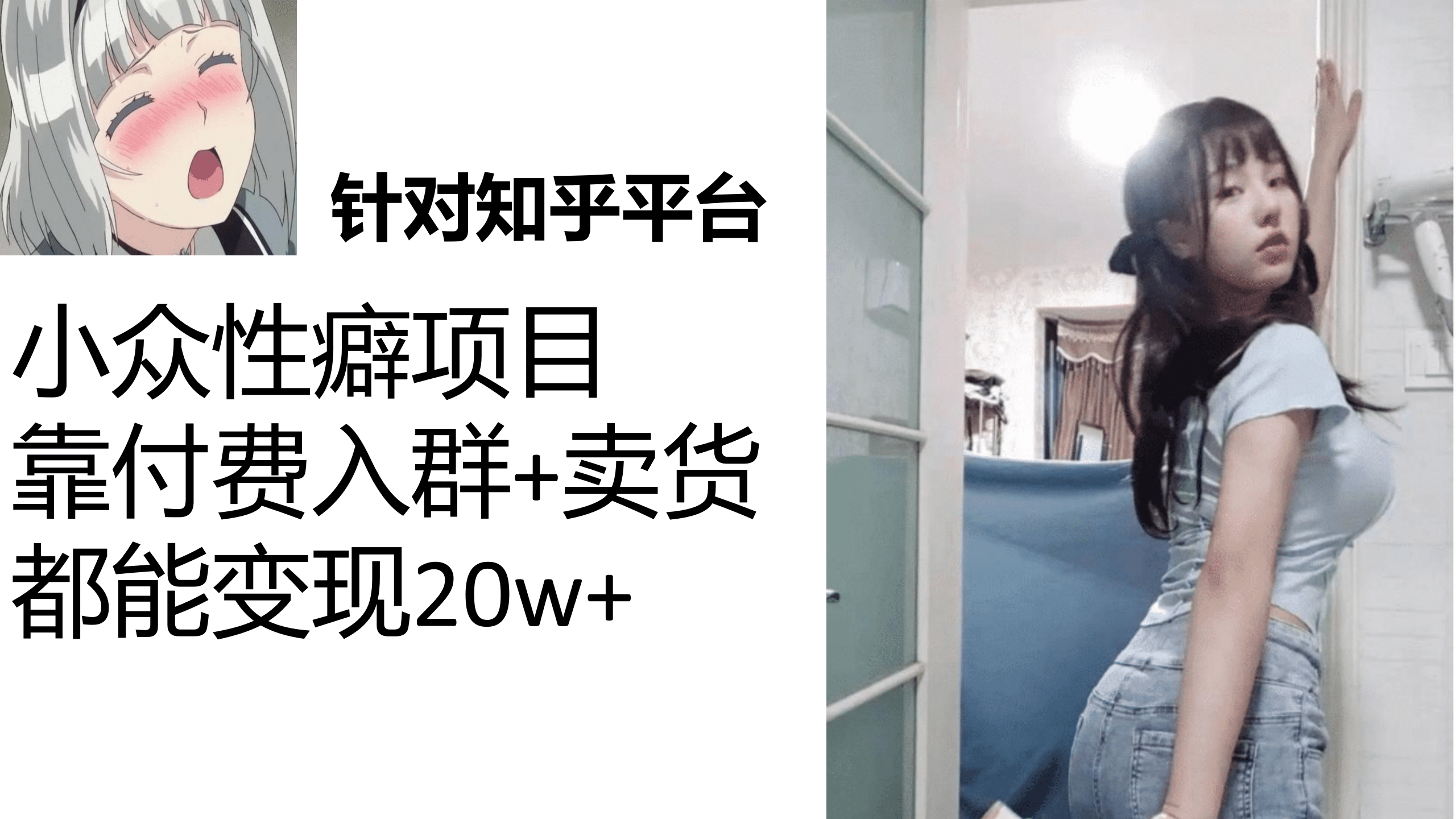 知乎小众性癖项目，Lsp的钱才是最好赚的，付费建群+卖货变现20w网创吧-网创项目资源站-副业项目-创业项目-搞钱项目恒杨云站