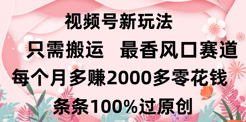 日入2000+，条条100%过原创，视频号最香风口赛道，小白轻松上手网创吧-网创项目资源站-副业项目-创业项目-搞钱项目恒杨云站