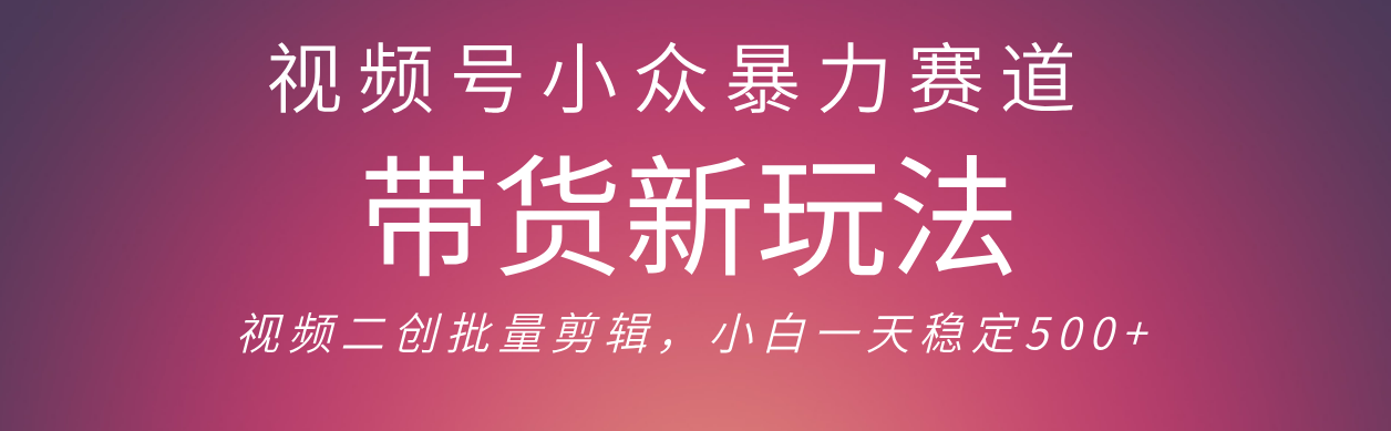视频号小众暴力赛道，最新带货玩法 小白也能轻松日入500+ 保姆及教程网创吧-网创项目资源站-副业项目-创业项目-搞钱项目恒杨云站