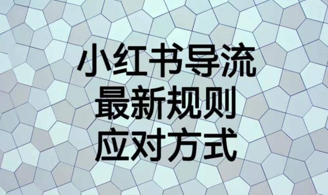 小红书导流最新规则应对方式【揭秘】网创吧-网创项目资源站-副业项目-创业项目-搞钱项目恒杨云站