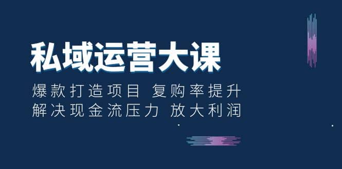 私域运营大课：爆款打造项目 复购率提升 解决现金流压力 放大利润网创吧-网创项目资源站-副业项目-创业项目-搞钱项目恒杨云站