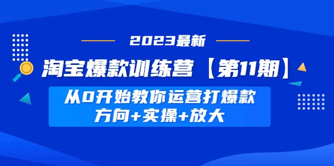 淘宝爆款训练营【第11期】 从0开始教你运营打爆款，方向+实操+放大网创吧-网创项目资源站-副业项目-创业项目-搞钱项目恒杨云站