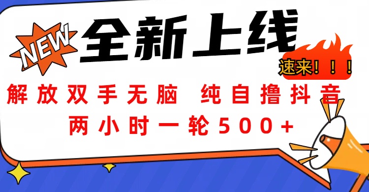 解放双手无脑 纯自撸抖音 两小时一轮500+网创吧-网创项目资源站-副业项目-创业项目-搞钱项目恒杨云站