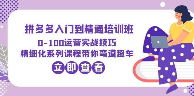 2023拼多多入门到精通培训班：0-100运营实战技巧 精细化系列课带你弯道超车网创吧-网创项目资源站-副业项目-创业项目-搞钱项目恒杨云站