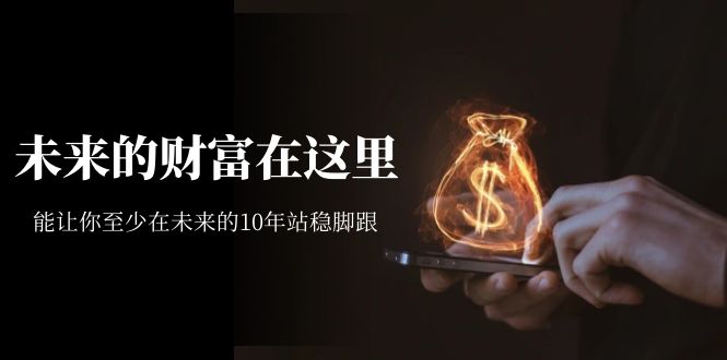 某收费文章《未来的财富在这里》能让你至少在未来的10年站稳脚跟网创吧-网创项目资源站-副业项目-创业项目-搞钱项目恒杨云站