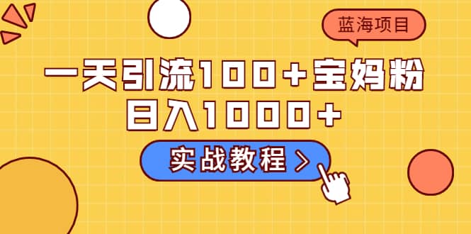 一天引流100+宝妈粉，日入1000+的蓝海项目（实战教程）网创吧-网创项目资源站-副业项目-创业项目-搞钱项目恒杨云站