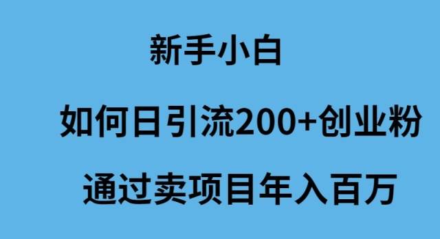 新手小白如何日引流200+创业粉通过卖项目年入百万网创吧-网创项目资源站-副业项目-创业项目-搞钱项目恒杨云站