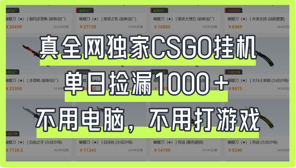 真全网独家CSGO挂机，单日捡漏1000+网创吧-网创项目资源站-副业项目-创业项目-搞钱项目恒杨云站