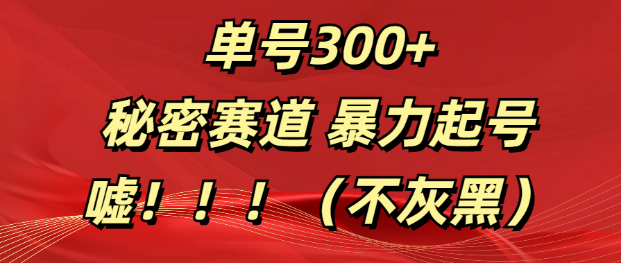 单号300+  秘密赛道 暴力起号  （不灰黑）网创吧-网创项目资源站-副业项目-创业项目-搞钱项目恒杨云站