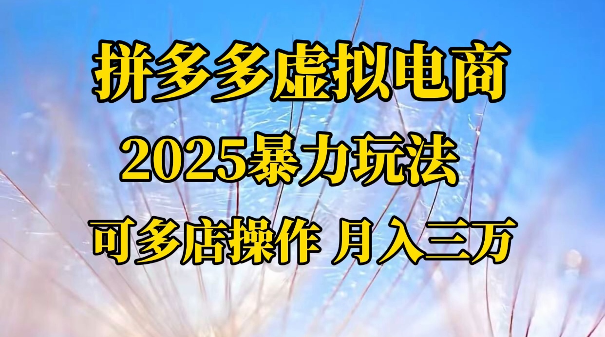拼多多虚拟电商，不囤货不垫资的虚拟电商网创吧-网创项目资源站-副业项目-创业项目-搞钱项目恒杨云站