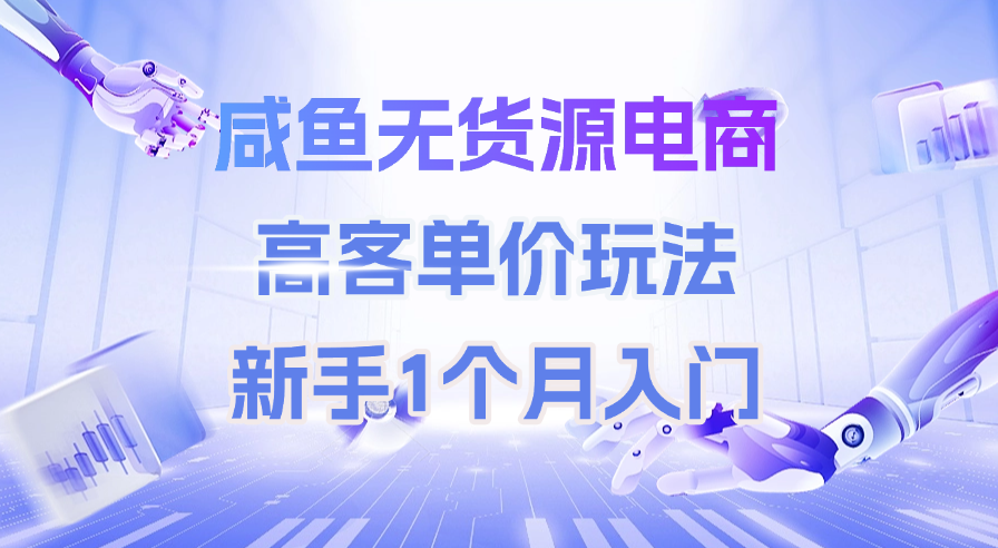 咸鱼无货源电商，高客单价玩法，新手1个月入门网创吧-网创项目资源站-副业项目-创业项目-搞钱项目恒杨云站