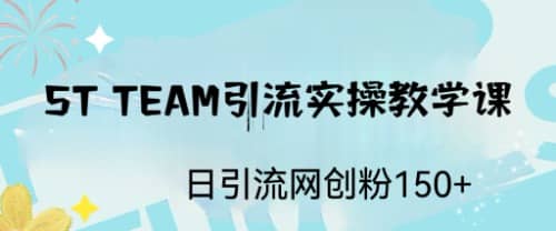 ST TEAM引流实操课，日引流网创粉100+网创吧-网创项目资源站-副业项目-创业项目-搞钱项目恒杨云站