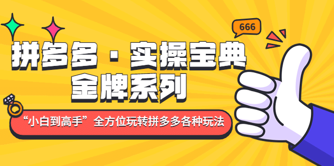拼多多·实操宝典：金牌系列“小白到高手”带你全方位玩转拼多多各种玩法网创吧-网创项目资源站-副业项目-创业项目-搞钱项目恒杨云站
