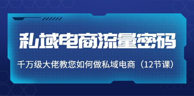 私域电商流量密码：千万级大佬教您如何做私域电商（12节课）网创吧-网创项目资源站-副业项目-创业项目-搞钱项目恒杨云站