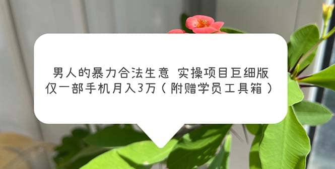 男人的暴力合法生意实操项目巨细版：仅一部手机月入3w（附赠学员工具箱）网创吧-网创项目资源站-副业项目-创业项目-搞钱项目恒杨云站
