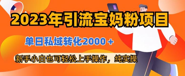 2023年引流宝妈粉项目，单日私域转化2000＋，新手小白也可轻松上手操作，纯实操网创吧-网创项目资源站-副业项目-创业项目-搞钱项目恒杨云站