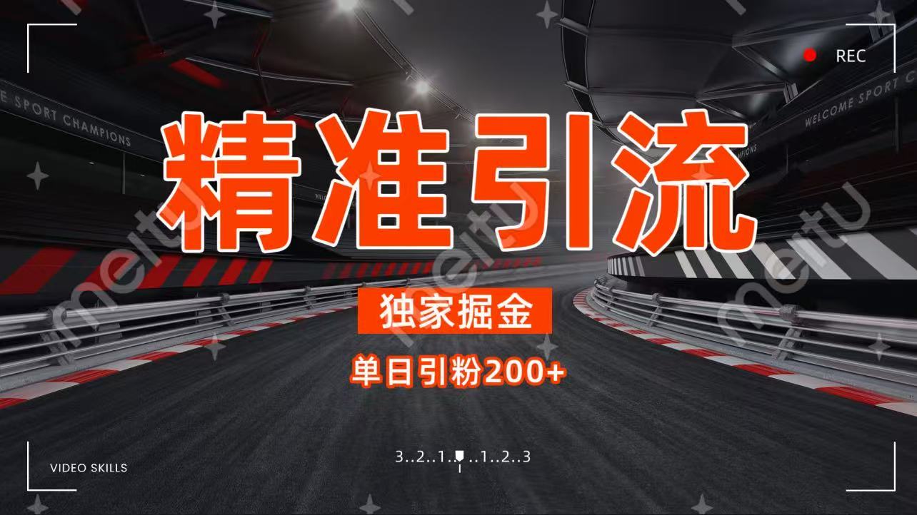独家野路子精准引流 每日200+网创吧-网创项目资源站-副业项目-创业项目-搞钱项目恒杨云站