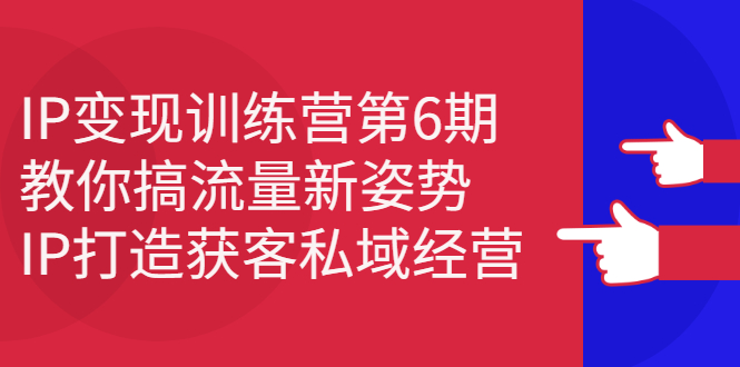 IP变现训练营第6期：教你搞流量新姿势，IP打造获客私域经营网创吧-网创项目资源站-副业项目-创业项目-搞钱项目恒杨云站