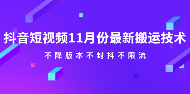 抖音短视频11月份最新搬运技术，不降版本不封抖不限流！【视频课程】网创吧-网创项目资源站-副业项目-创业项目-搞钱项目恒杨云站