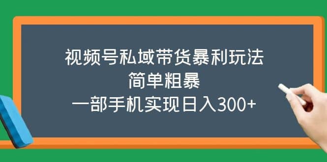 视频号私域带货暴利玩法，简单粗暴网创吧-网创项目资源站-副业项目-创业项目-搞钱项目恒杨云站