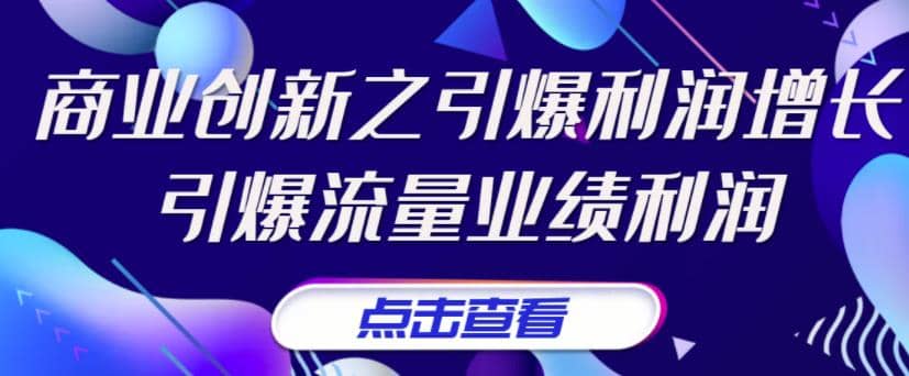 《商业创新之引爆利润增长》引爆流量业绩利润网创吧-网创项目资源站-副业项目-创业项目-搞钱项目恒杨云站